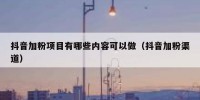 抖音加粉项目有哪些内容可以做（抖音加粉渠道）
