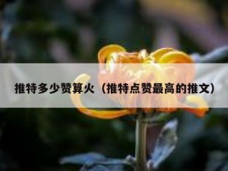 推特多少赞算火（推特点赞最高的推文）