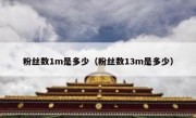 粉丝数1m是多少（粉丝数13m是多少）