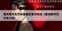 重庆限号处罚标准最新查询电话（重庆限号处罚多少钱）