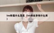 ins粉是什么意思（ins粉丝多有什么用）