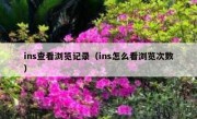 ins查看浏览记录（ins怎么看浏览次数）