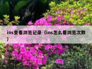 ins查看浏览记录（ins怎么看浏览次数）