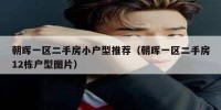 朝晖一区二手房小户型推荐（朝晖一区二手房12栋户型图片）