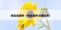 域名在国外（域名国外注册优势）