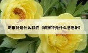 刷推特是什么软件（刷推特是什么意思啊）