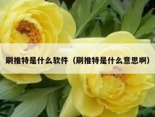 刷推特是什么软件（刷推特是什么意思啊）