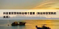 抖音里获赞和粉丝哪个重要（粉丝和获赞数的关系）