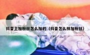 抖音上加粉丝怎么加的（抖音怎么样加粉丝）