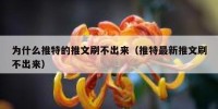为什么推特的推文刷不出来（推特最新推文刷不出来）