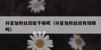 抖音加粉丝团能干嘛呢（抖音加粉丝团有钱赚吗）