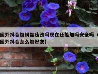 国外抖音加粉丝违法吗现在还能加吗安全吗（国外抖音怎么加好友）