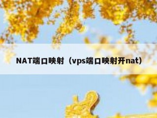 NAT端口映射（vps端口映射开nat）
