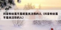 抖音粉丝是不是就是关注我的人（抖音粉丝是不是关注你的人）