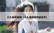 什么是刷推特（什么是刷推特的软件）