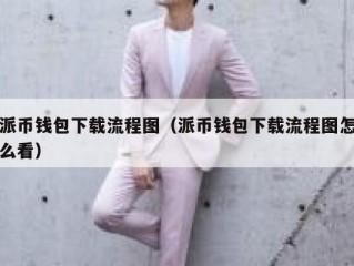 派币钱包下载流程图（派币钱包下载流程图怎么看）