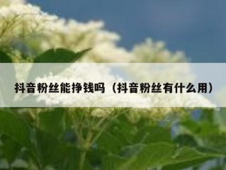 抖音粉丝能挣钱吗（抖音粉丝有什么用）