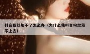 抖音粉丝加不了怎么办（为什么我抖音粉丝涨不上去）