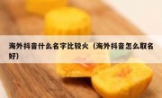 海外抖音什么名字比较火（海外抖音怎么取名好）