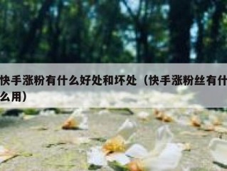 快手涨粉有什么好处和坏处（快手涨粉丝有什么用）