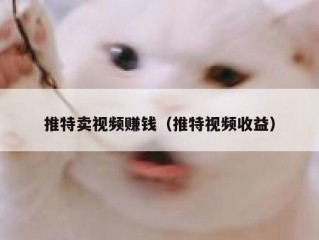 推特卖视频赚钱（推特视频收益）