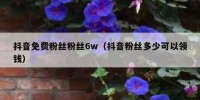 抖音免费粉丝粉丝6w（抖音粉丝多少可以领钱）