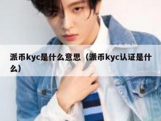 派币kyc是什么意思（派币kyc认证是什么）