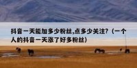 抖音一天能加多少粉丝,点多少关注?（一个人的抖音一天涨了好多粉丝）