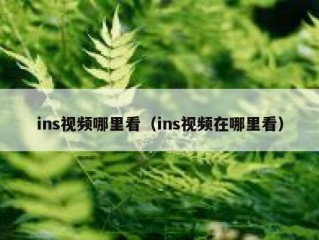 ins视频哪里看（ins视频在哪里看）
