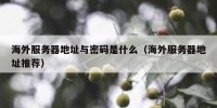 海外服务器地址与密码是什么（海外服务器地址推荐）