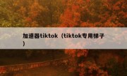 加速器tiktok（tiktok专用梯子）
