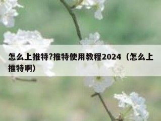 怎么上推特?推特使用教程2024（怎么上推特啊）