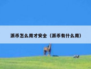 派币怎么用才安全（派币有什么用）
