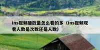 ins视频播放量怎么看的多（ins视频观看人数是次数还是人数）