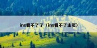 ins看不了了（ins看不了主页）