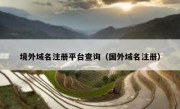境外域名注册平台查询（国外域名注册）