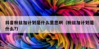 抖音粉丝加计划是什么意思啊（粉丝加计划是什么?）