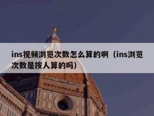 ins视频浏览次数怎么算的啊（ins浏览次数是按人算的吗）