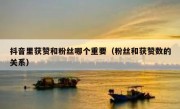 抖音里获赞和粉丝哪个重要（粉丝和获赞数的关系）