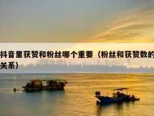 抖音里获赞和粉丝哪个重要（粉丝和获赞数的关系）