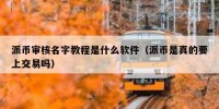 派币审核名字教程是什么软件（派币是真的要上交易吗）