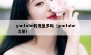 youtube耗流量多吗（youtube 流量）