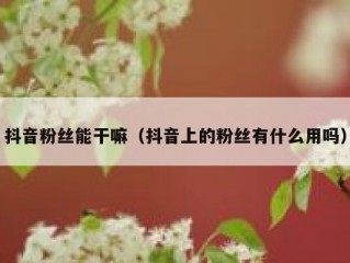抖音粉丝能干嘛（抖音上的粉丝有什么用吗）