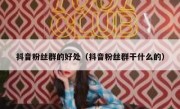 抖音粉丝群的好处（抖音粉丝群干什么的）