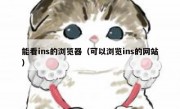 能看ins的浏览器（可以浏览ins的网站）