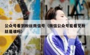 公众号看到粉丝微信号（微信公众号能看见粉丝是谁吗）