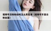 视频号没有粉丝吗怎么弄出来（视频号不显示粉丝量）