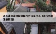 派币注册流程视频操作方法是什么（派币钱包注册教程）