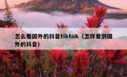 怎么看国外的抖音tiktok（怎样看到国外的抖音）