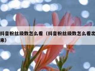 抖音粉丝级数怎么看（抖音粉丝级数怎么看出来）
